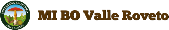 MIBO Valle Roveto
