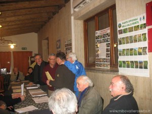 img_1300122000_919_lg
