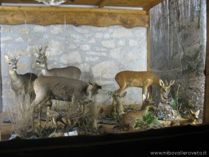Vastogirardi riserva montedimezzo2