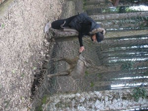Vastogirardi riserva montedimezzo5