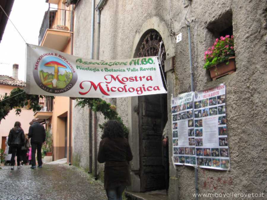 Canistro 2010