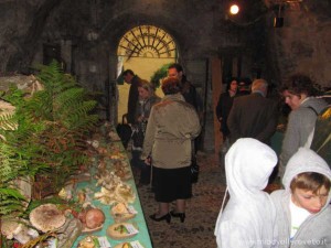 img_1294333602_899_lg