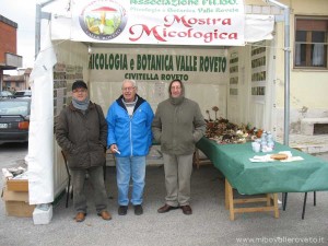 img_1294334036_926_lg