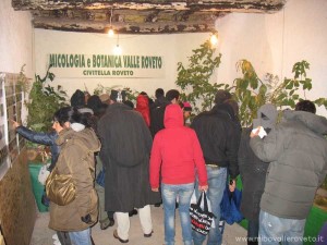 img_1294336423_88_lg