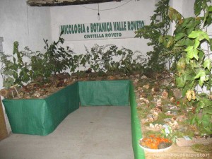 img_1294336487_280_lg