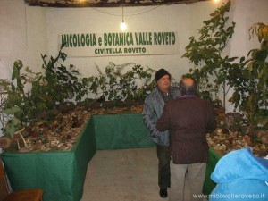 img_1294336542_507_lg