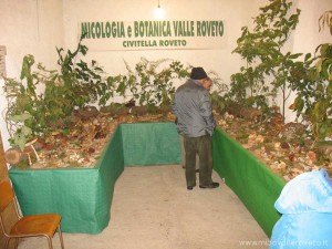 img_1294336607_978_lg