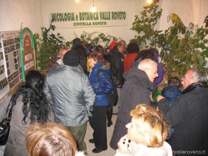 img_1294336798_788_lg