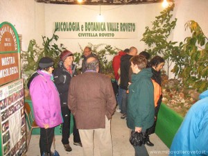 img_1294336864_402_lg