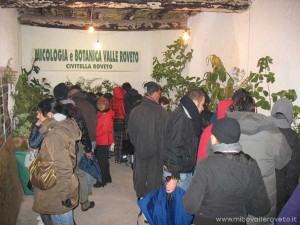 img_1294336988_176_lg
