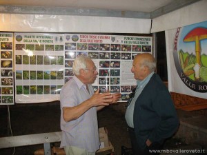img_1294339253_6_lg
