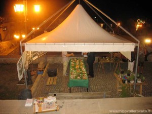 img_1294339287_638_lg