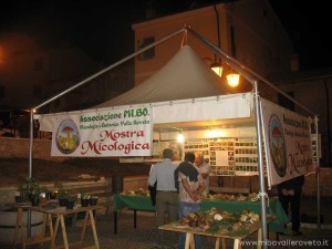 img_1294339356_65_lg