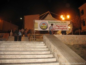 img_1294339425_650_lg