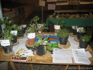 img_1294339489_66_lg