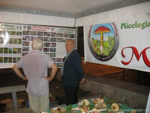 img_1294339517_244_lg