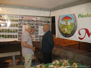 img_1294339547_713_lg