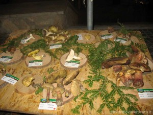 img_1294339710_232_lg