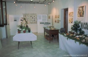img_1294342167_547_lg