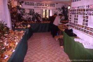 img_1294342315_683_lg