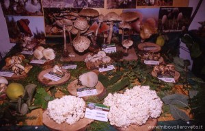 img_1294342320_969_lg