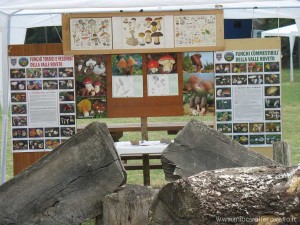 img_1294346916_239_lg