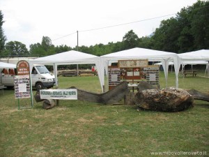 img_1294346950_606_lg