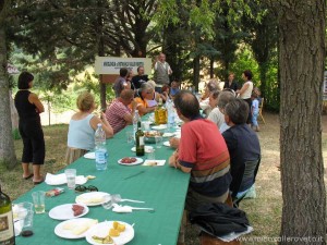 img_1294349463_346_lg