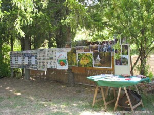 img_1294349691_819_lg