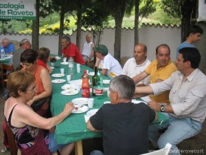img_1294350931_205_lg
