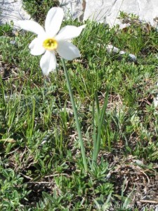img_1294355544_47_lg