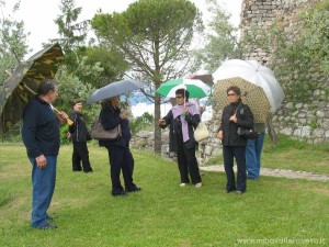 img_1294355789_860_lg