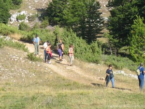 img_1294356394_64_lg