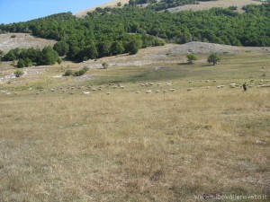 img_1294356583_32_lg