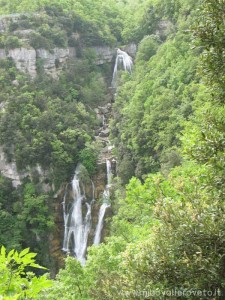 img_1294357505_467_lg