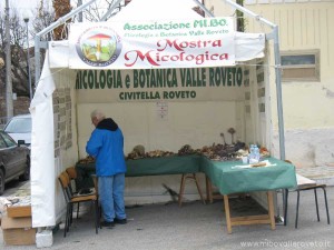 img_1294408145_294_lg