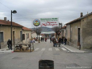 img_1294408196_332_lg