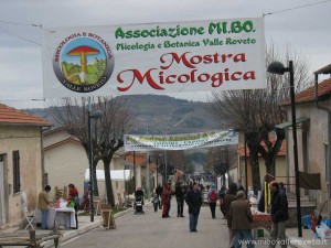 img_1294408246_975_lg