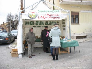 img_1294408491_736_lg