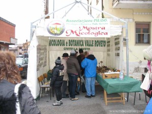 img_1294408896_229_lg