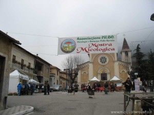 img_1294408940_257_lg