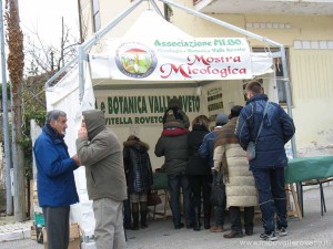 img_1294409055_791_lg
