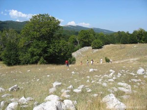 img_1294508946_791_lg
