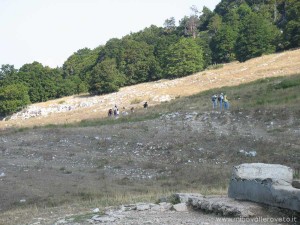 img_1294509081_33_lg