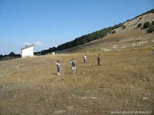 img_1294509210_606_lg