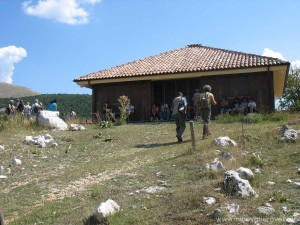 img_1294509275_986_lg
