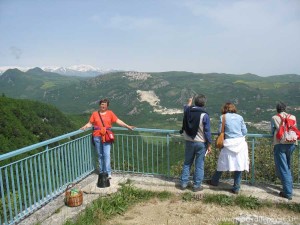 img_1294509692_79_lg