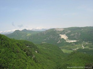 img_1294509776_72_lg