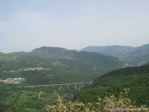img_1294509804_926_lg