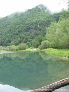 img_1294512021_222_lg